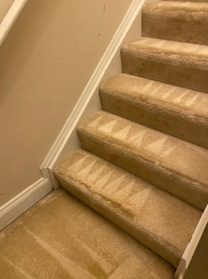Carpet Cleaning Services in Arbutus, MD (1)