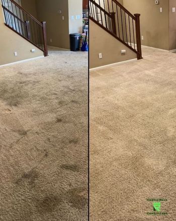 Carpet cleaning in Henryton by Scrub Squad