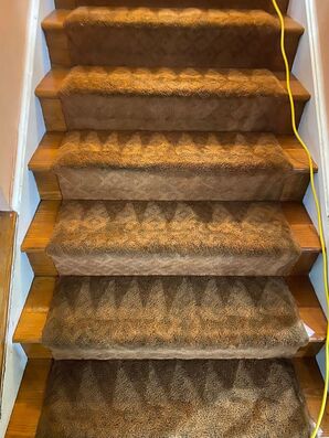 Carpet Cleaning Services in Halethorpe, MD (1)