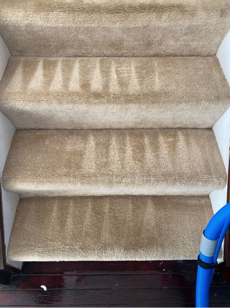 Carpet Cleaning in Parkville, MD (1)