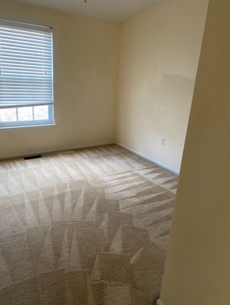 Carpet Cleaning in Columbia, MD (1)