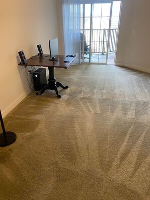 Carpet Cleaning Services in Catonsville, MD (2)