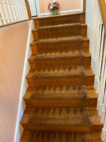 Carpet Cleaning Services in Halethorpe, MD (3)