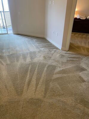 Carpet Cleaning Services in Catonsville, MD (1)