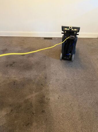 Before And After Carpet Cleaning Services in Gwynn Oak, MD (1)