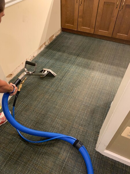 Carpet Cleaning Services in Glen Burnie, MD (1)