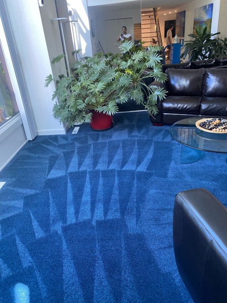 Carpet Cleaning Services in Halethorpe, MD (1)
